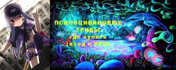 гидра Алексин