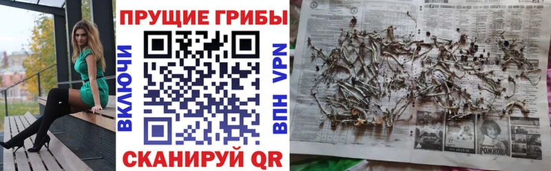 hydra ссылки  Клин  Галлюциногенные грибы GOLDEN TEACHER 