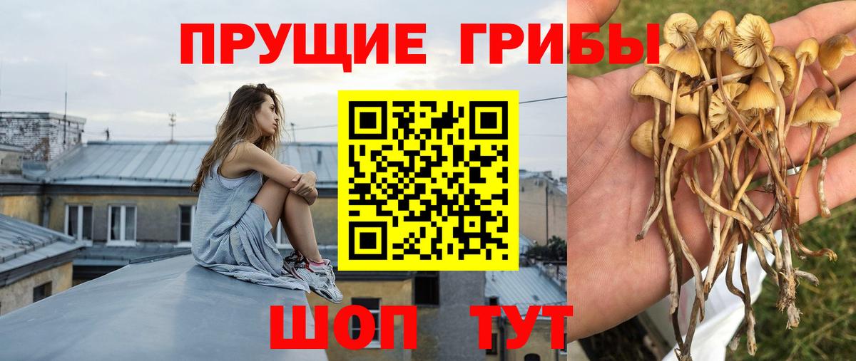 Галлюциногенные грибы ЛСД Клин