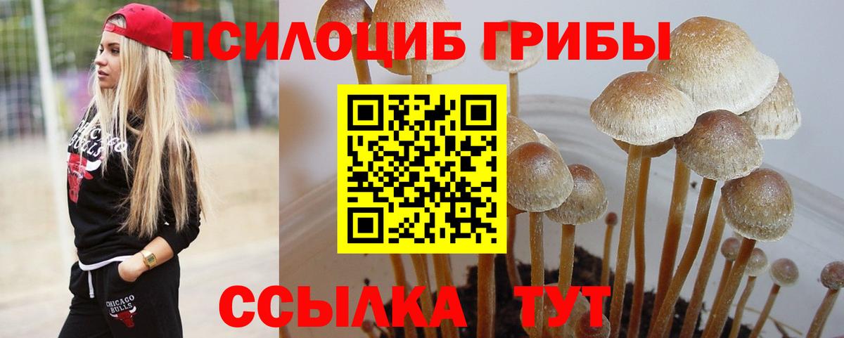 цена   Псилоцибиновые грибы ЛСД  Вход с VPN  Псилоцибиновые грибы MAGIC MUSHROOMS  Клин 
